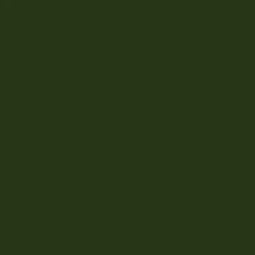 Aperçu de l'œuvre Beautiful Kombu Green Colour de Patternsonly