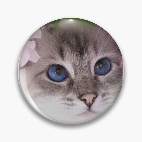 Item preview,  Saoirse the lynx ragdoll goddess designed and sold by Fluffycat2020.