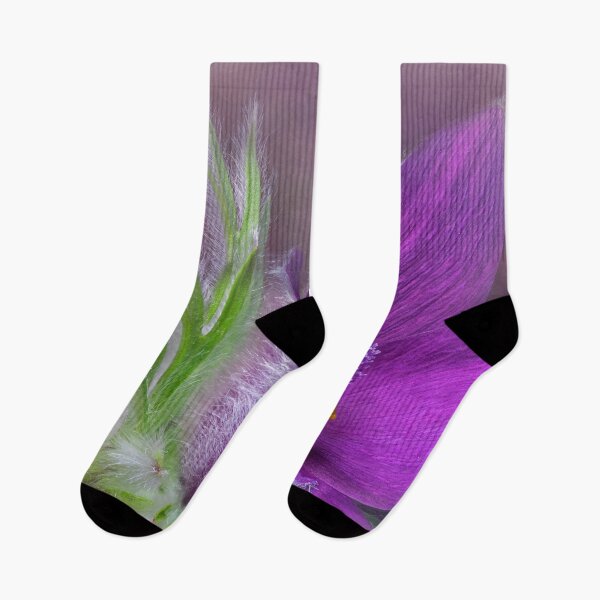 Item preview, Beautiful purple pasque flower designed and sold by gelibolu.