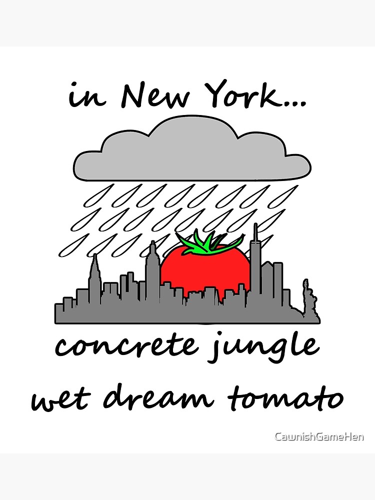 concrete jungle dreamers