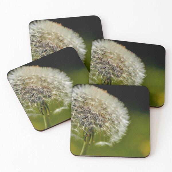 Item preview, Taraxacum Rubicundum, Ruddy Dandelion designed and sold by VnGphoto.
