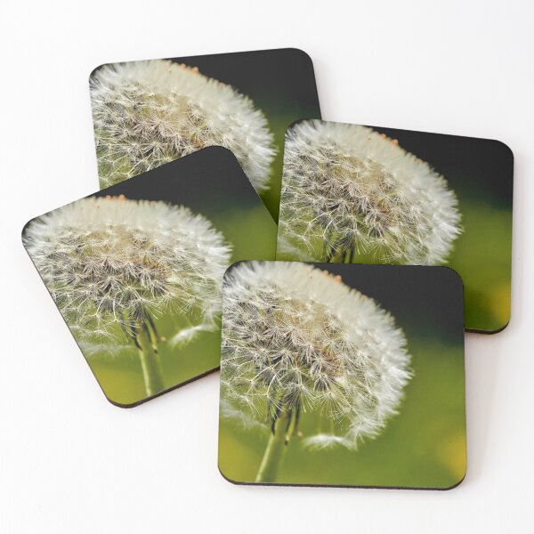 Item preview, Taraxacum Rubicundum, Ruddy Dandelion designed and sold by VnGphoto.