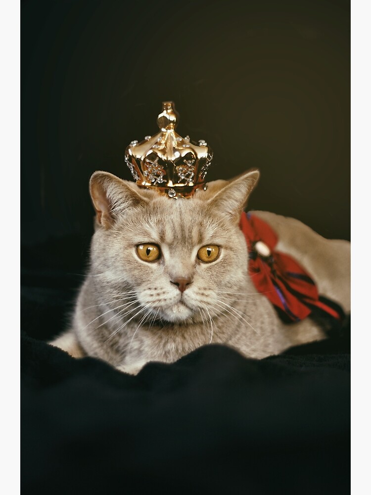 Thumbnail 3 of 3, Poster, Queen cat by semapemodiba designed and sold by Semapemodiba.
