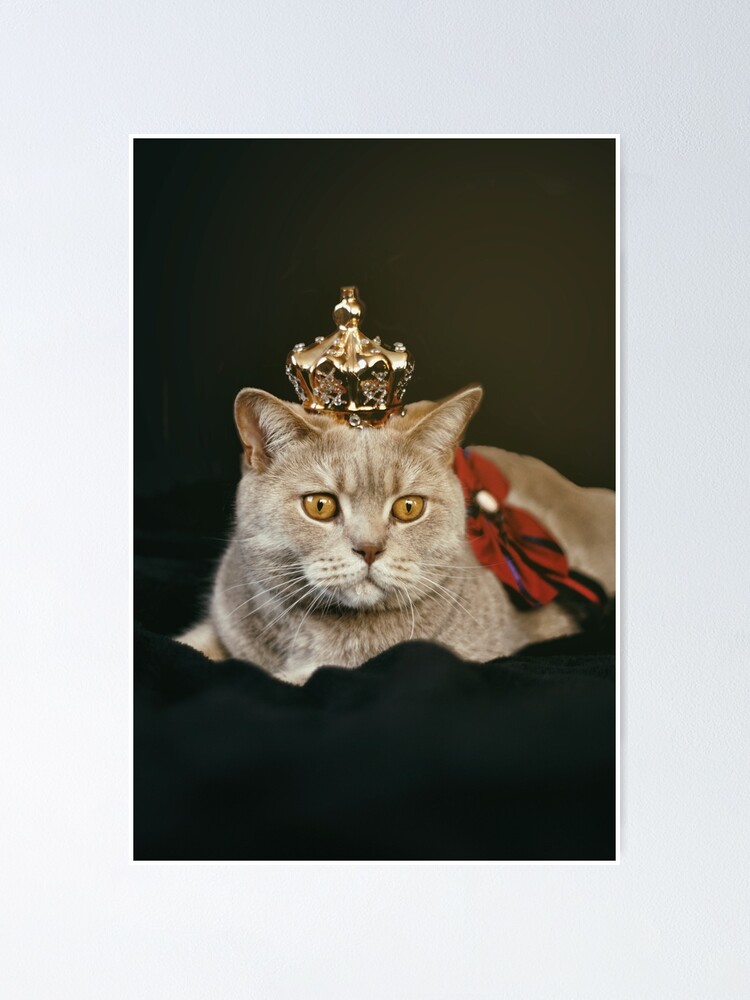 Thumbnail 1 of 3, Poster, Queen cat by semapemodiba designed and sold by Semapemodiba.