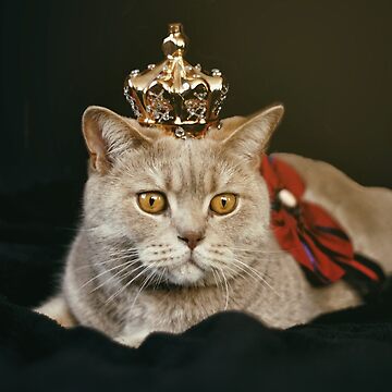 Artwork thumbnail, Queen cat by semapemodiba by Zachlogic