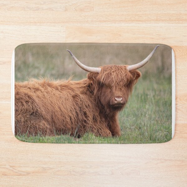 Item preview, Cute Highland cow designed and sold by cdkphotos.