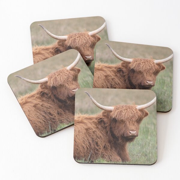 Item preview, Highland cattle portrait designed and sold by cdkphotos.