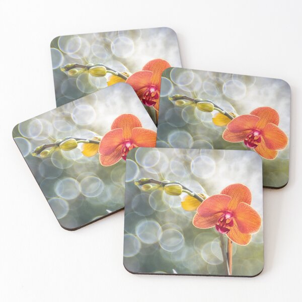 Item preview, Orchids designed and sold by Massimo Ciotti.