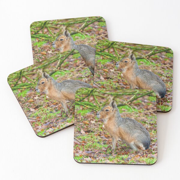 Item preview, Mara sat sitting around thinking designed and sold by Dalyndigital Photography.