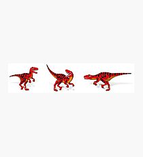 Raptors! Photographic Print