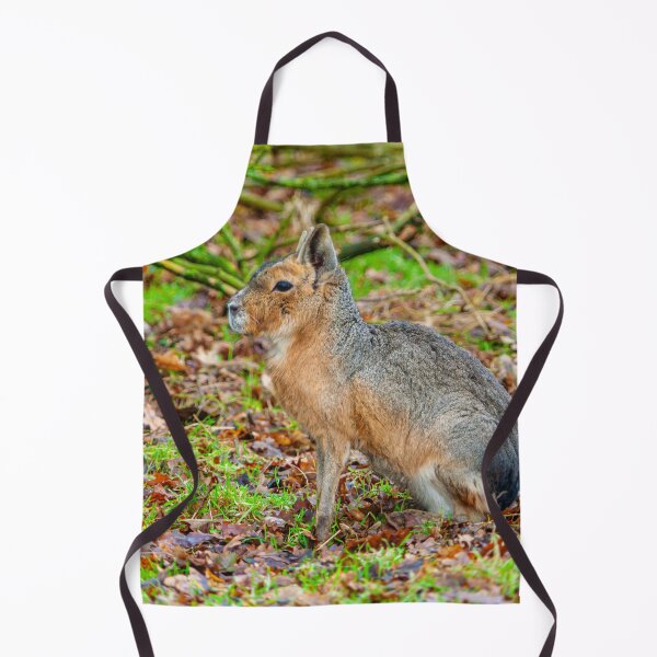 Item preview, Mara sat sitting around thinking designed and sold by Dalyndigital Photography.