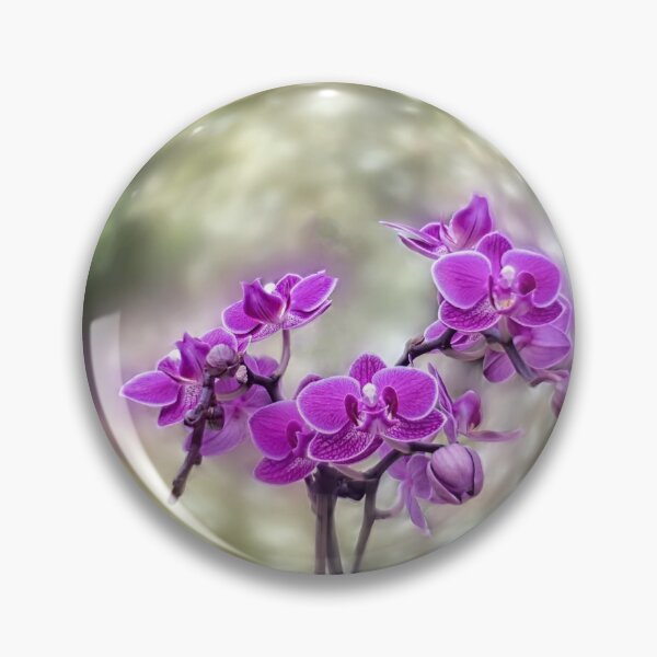 Artikelvorschau, Orchideen entworfen und verkauft von Massimo Ciotti.