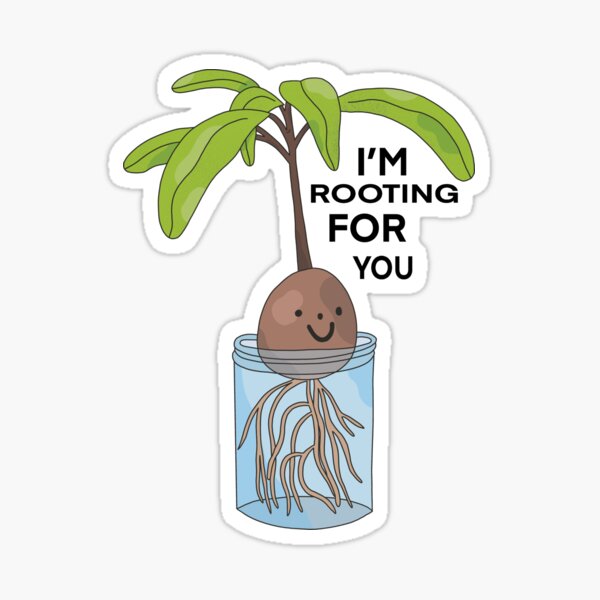 Rooting For You Gifts Merchandise Redbubble
