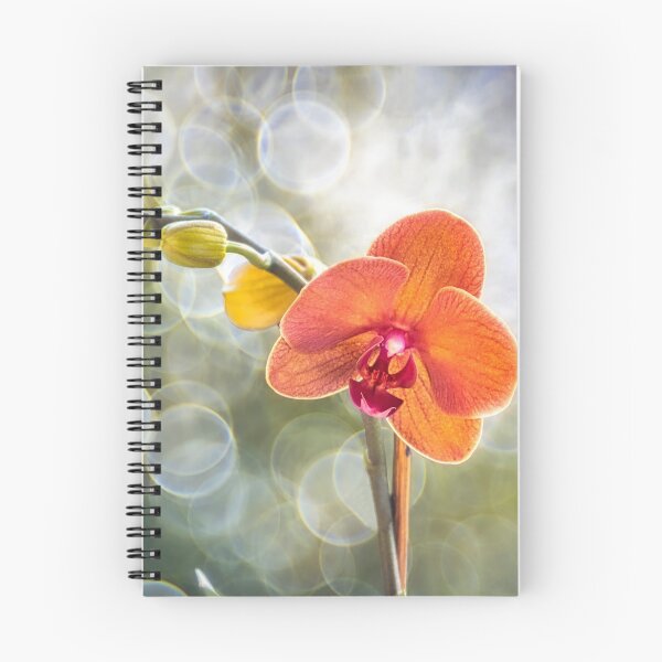 Item preview, Orchids designed and sold by Massimo Ciotti.