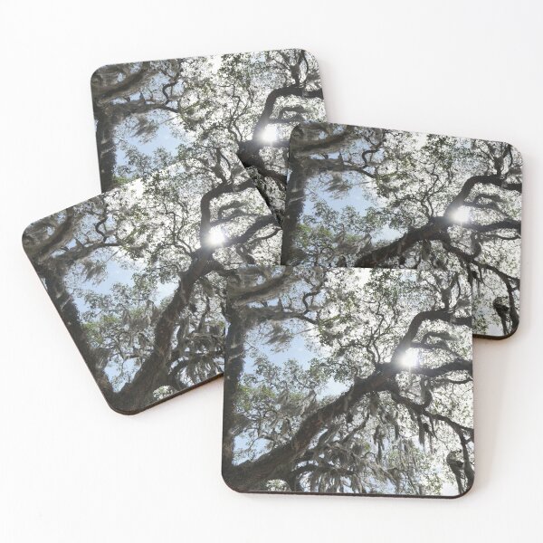 Item preview, gorgeous ancient live oak designed and sold by distracted.
