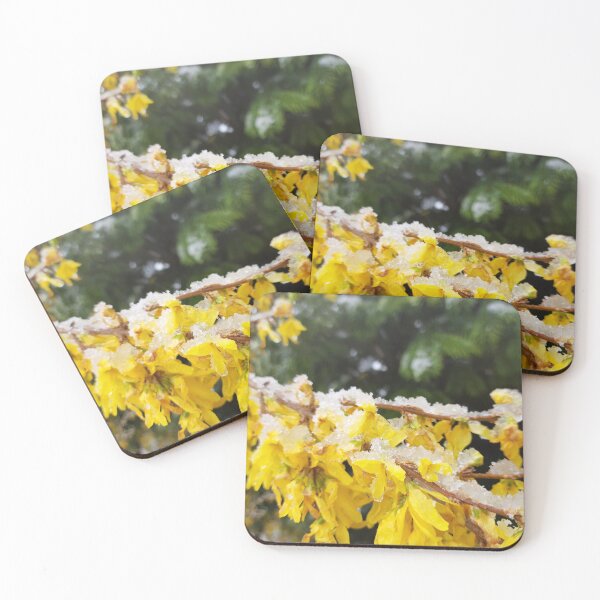 Item preview, yellow forsythia blossom in the snow designed and sold by 6059.
