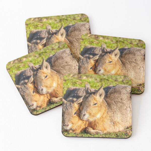 Item preview, Cuddling Mara designed and sold by Dalyndigital Photography.