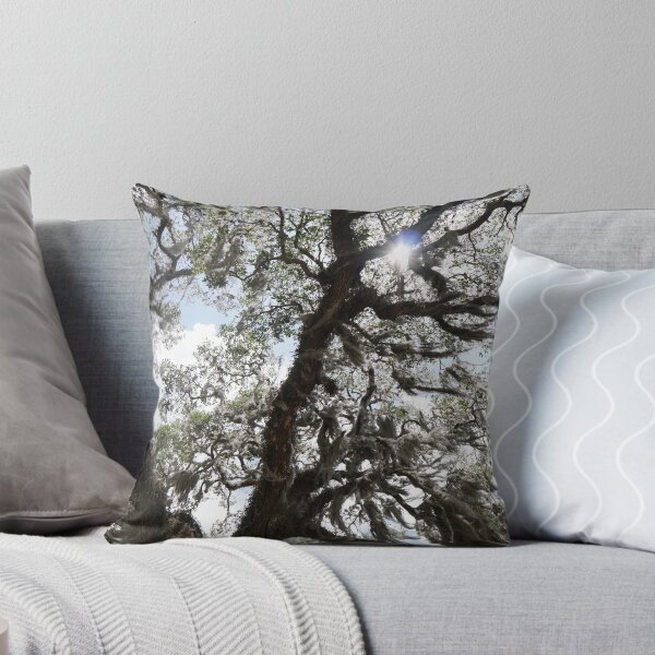 Item preview, ancient live oak florida designed and sold by distracted.