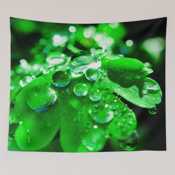 Item preview, Dew Drops on Bright Green Leaf designed and sold by KirstyNadineArt.