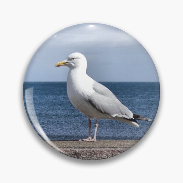 Item preview, Seagull and Cruise Ship in Torbay designed and sold by Bluelizzy.