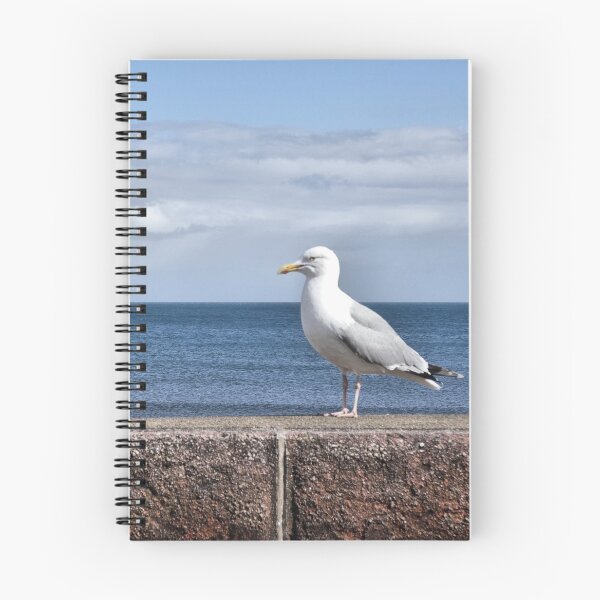 Item preview, Seagull and Cruise Ship in Torbay designed and sold by Bluelizzy.