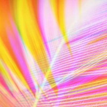 Artwork thumbnail, Abstract Feather by April Dowling
