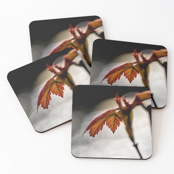 Item preview, Sycamore Sapling designed and sold by VnGphoto.