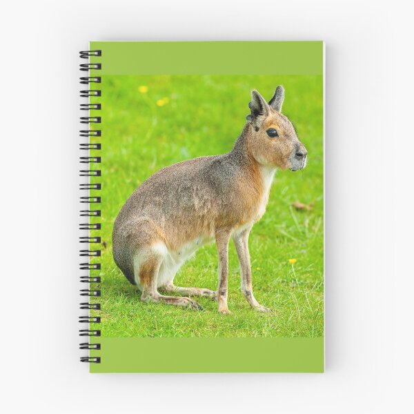 Item preview, Mara on the alert designed and sold by Dalyndigital Photography.