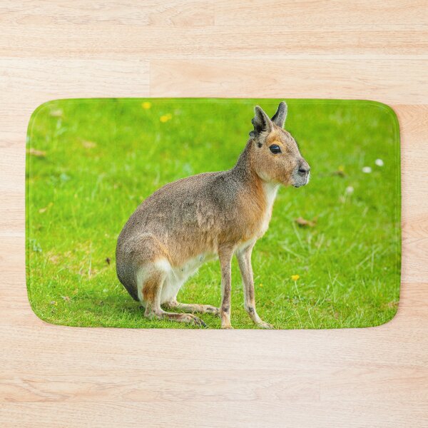 Item preview, Mara on the alert designed and sold by Dalyndigital Photography.