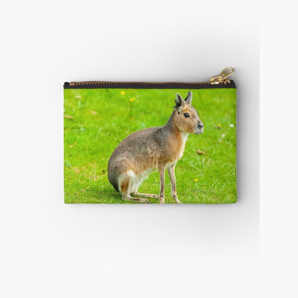 Item preview, Mara on the alert designed and sold by Dalyndigital Photography.