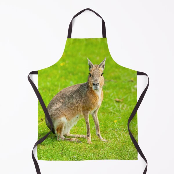 Item preview, Mara on the alert designed and sold by Dalyndigital Photography.