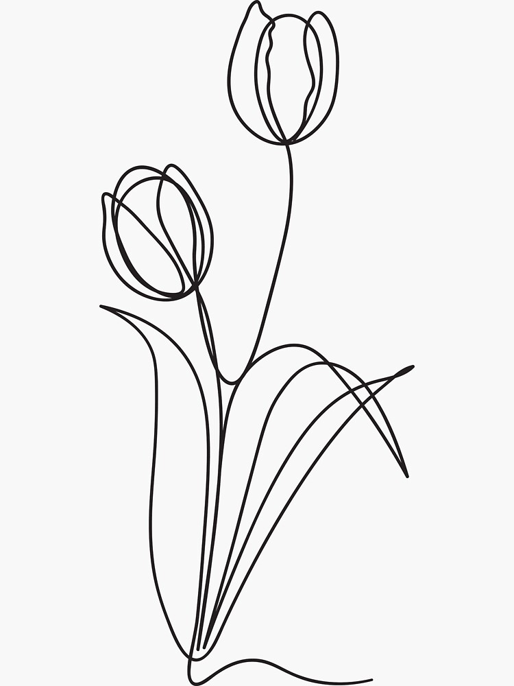 tulip line drawing