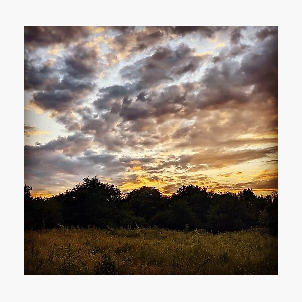 Item preview, Countryside Field with a Golden Sunset Backdrop designed and sold by WearWolfDesigns.