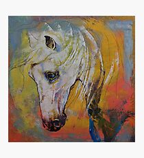 White Horse Photographic Print