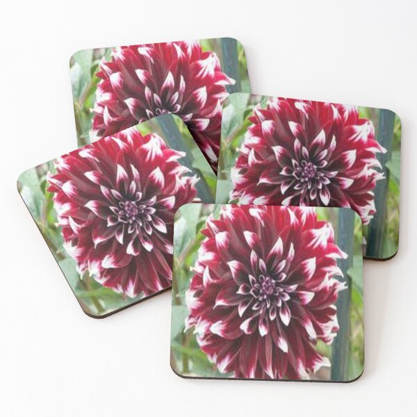 Item preview, perfect dahlia designed and sold by nigejohn.