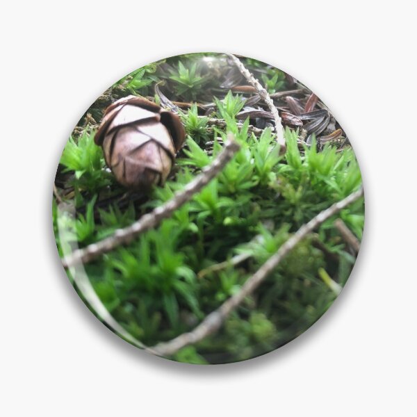 Item preview, Stalk the Ground designed and sold by HeidernLion.
