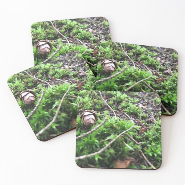 Item preview, Stalk the Ground designed and sold by HeidernLion.