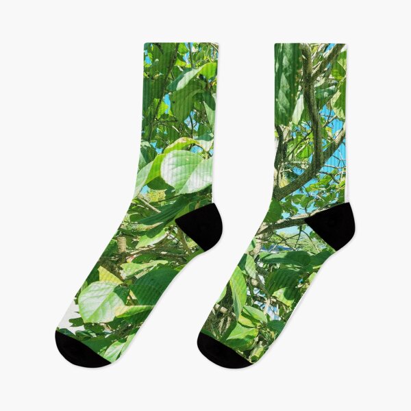 Item preview, Trees designed and sold by gloriasd14.