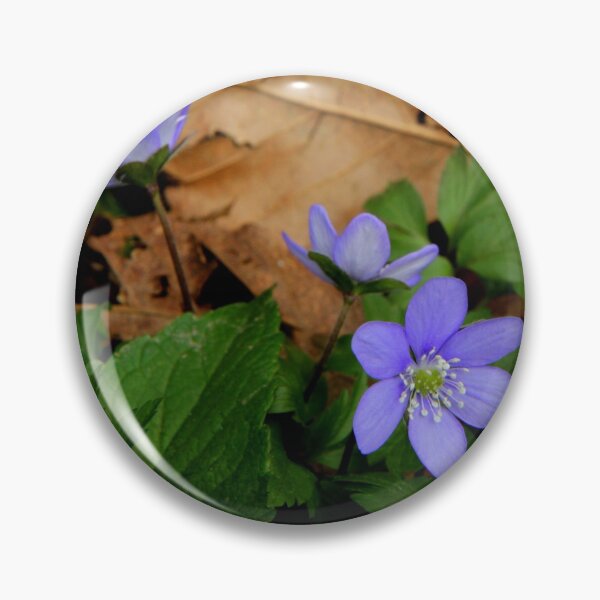 Item preview, Beauty in the wood designed and sold by annalisa56.