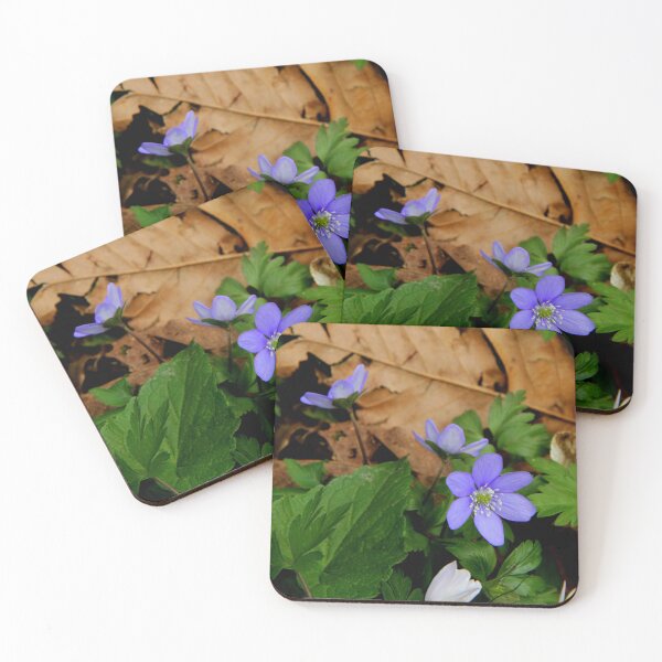 Item preview, Beauty in the wood designed and sold by annalisa56.