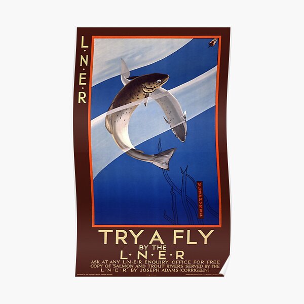 Try a fly by the L.N.E.R. UK Vintage Poster Poster