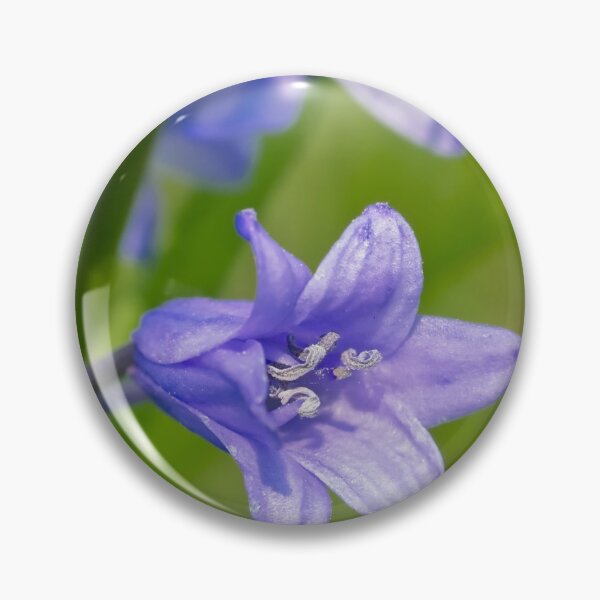 Item preview, Bluebell closeup designed and sold by xophotography.