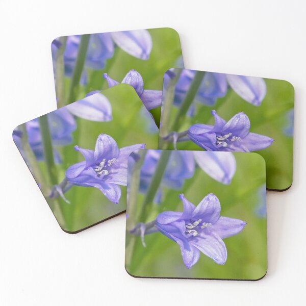 Item preview, Bluebell closeup designed and sold by xophotography.