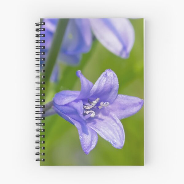 Item preview, Bluebell closeup designed and sold by xophotography.
