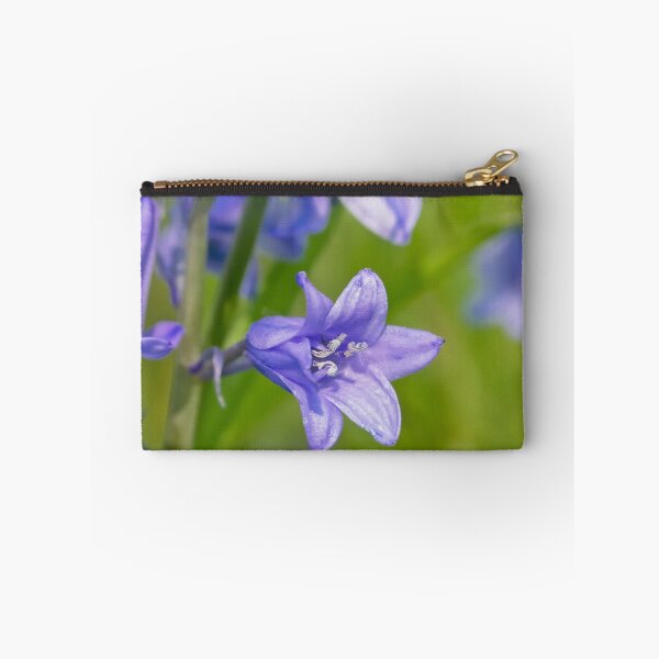 Item preview, Bluebell closeup designed and sold by xophotography.