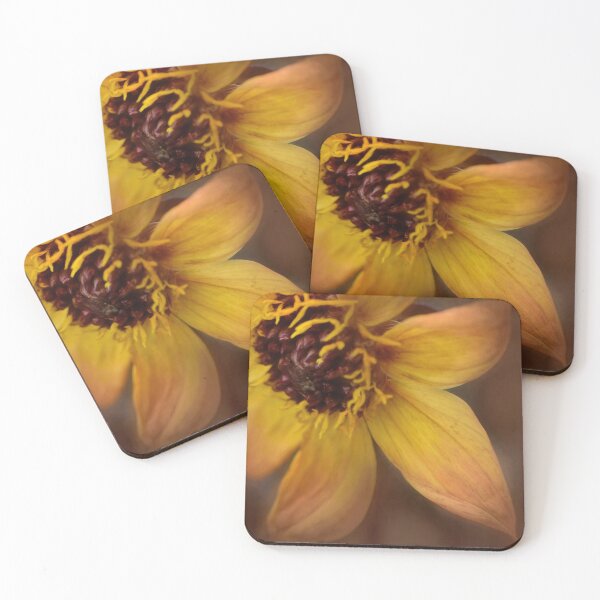 Item preview, splendor designed and sold by Heather Buechel.