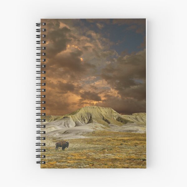 Item preview, 5131 designed and sold by peter holme III.