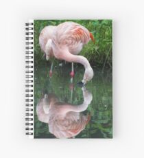 Zaphod Flamingbrox Spiral Notebook