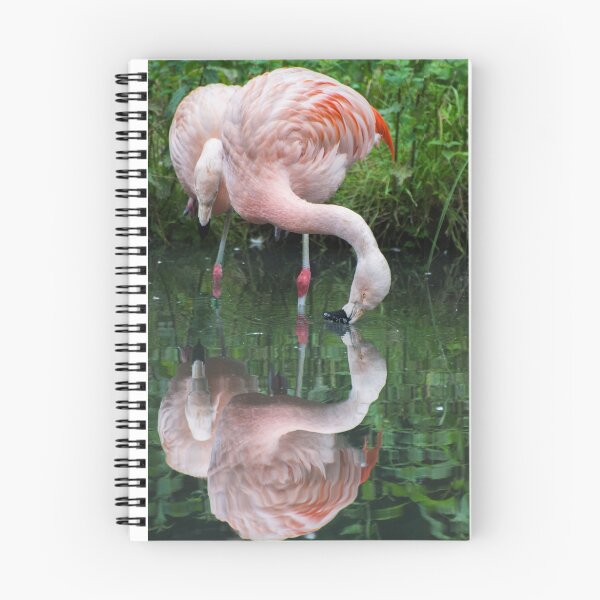 Item preview, Zaphod Flamingbrox designed and sold by JohnYoung.