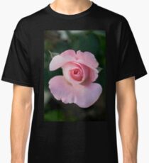 pink rose Classic T-Shirt